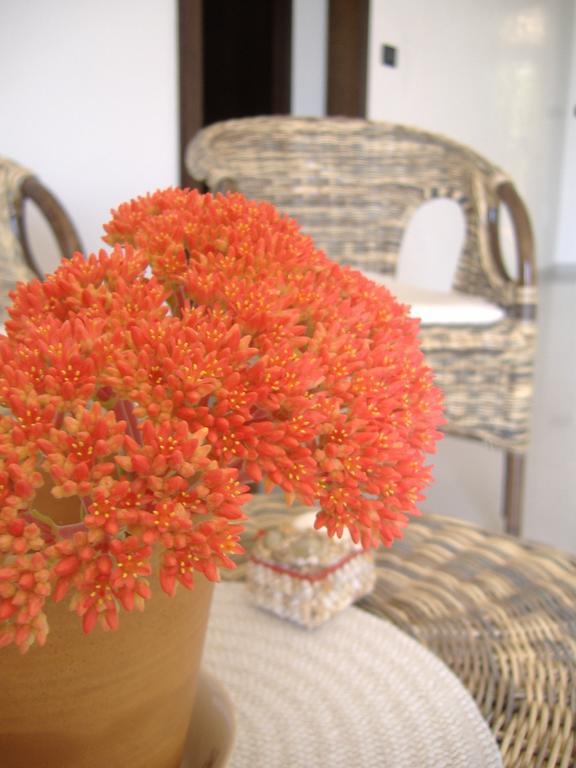Capilungo B&B Corallo מראה חיצוני תמונה
